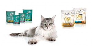 purina purina